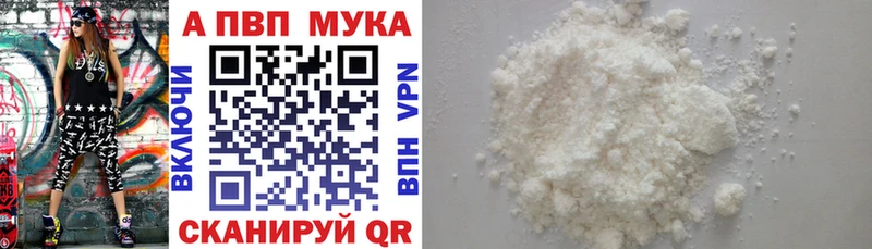 A PVP СК  Мезень 