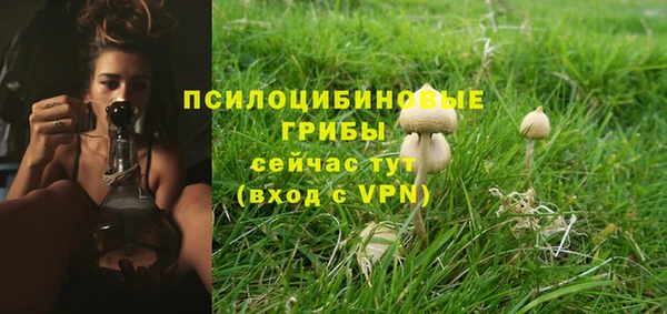 кристаллы Лагань