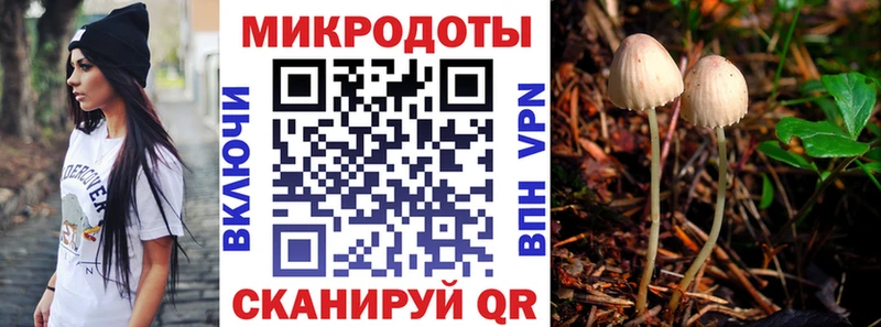 Псилоцибиновые грибы MAGIC MUSHROOMS  Мезень 
